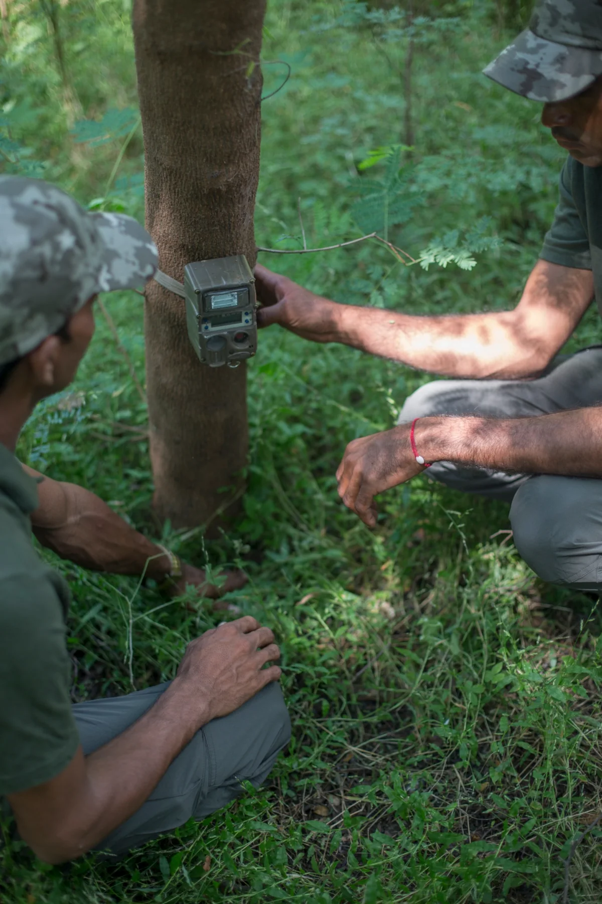 Conservation field biologists mounting an infrared camera trap for scientific wildlife monitoring and population research
