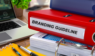 BRANDING GUIDELINE _media_kit_image