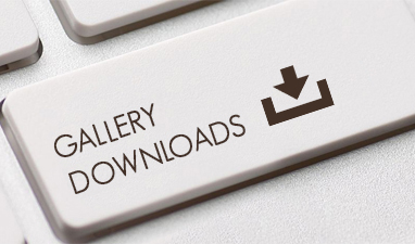 Gallery Downloads _media_kit_image