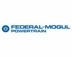 Federal Mogul