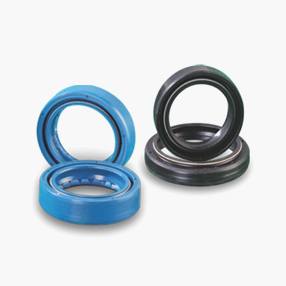 FF Oil Seal_Image