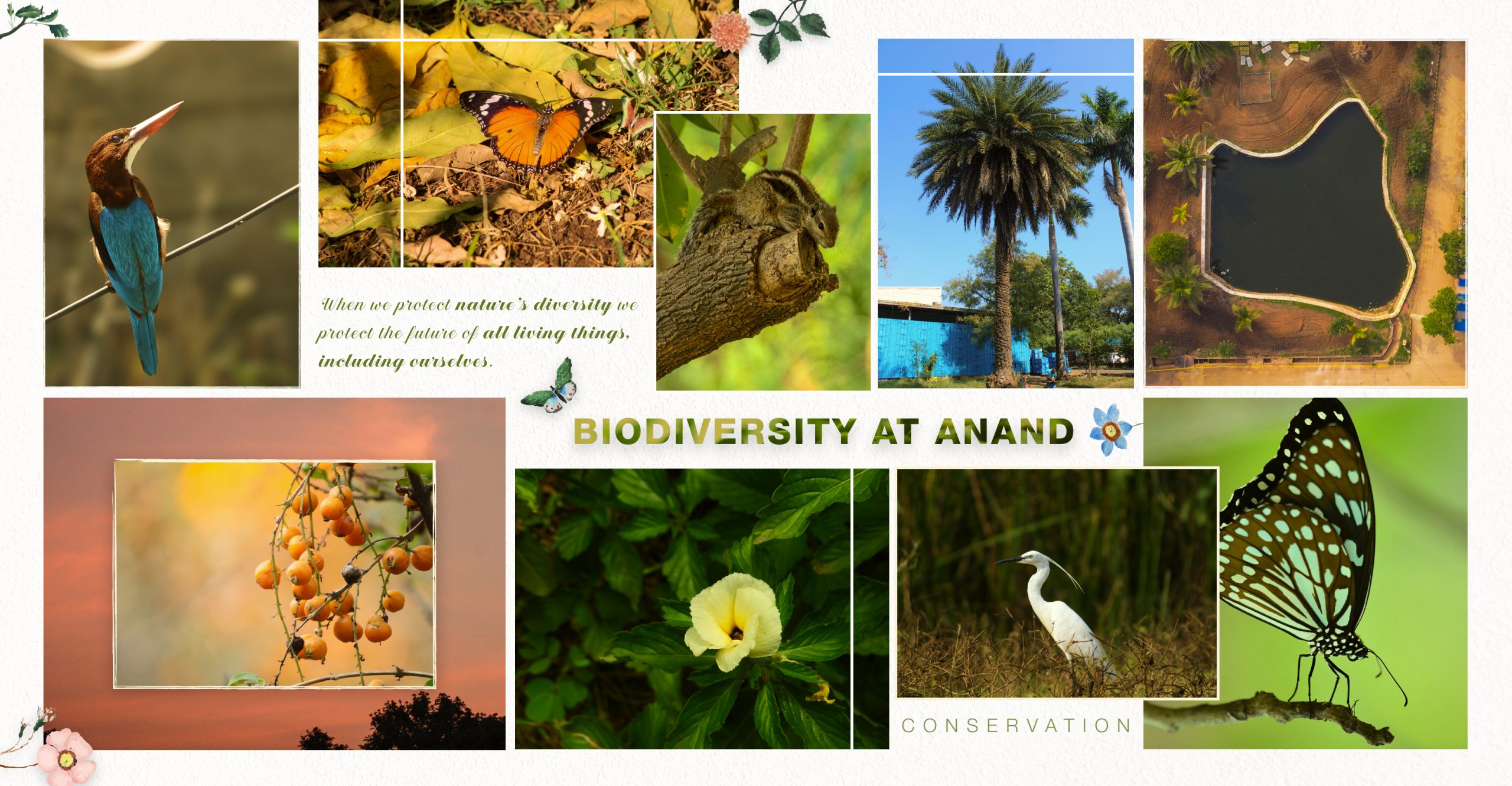 Green-Biodiversity