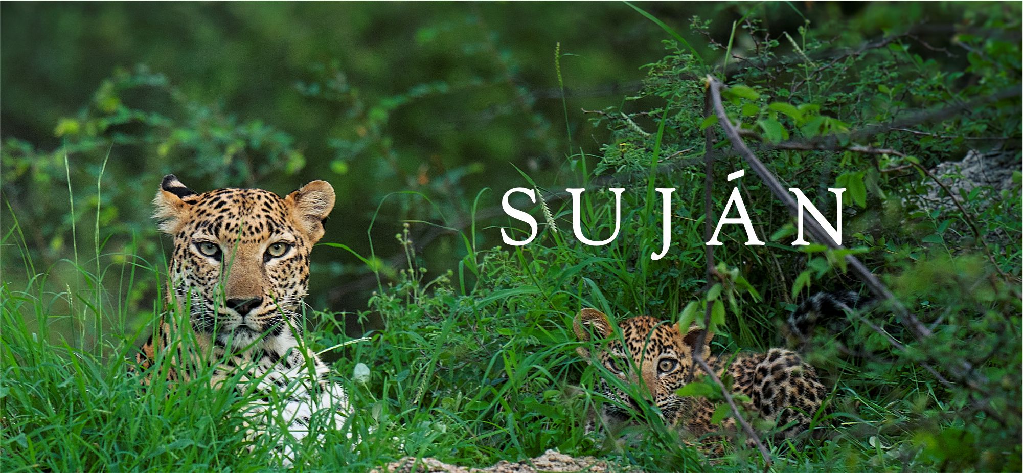 SUJÁN Hospitality