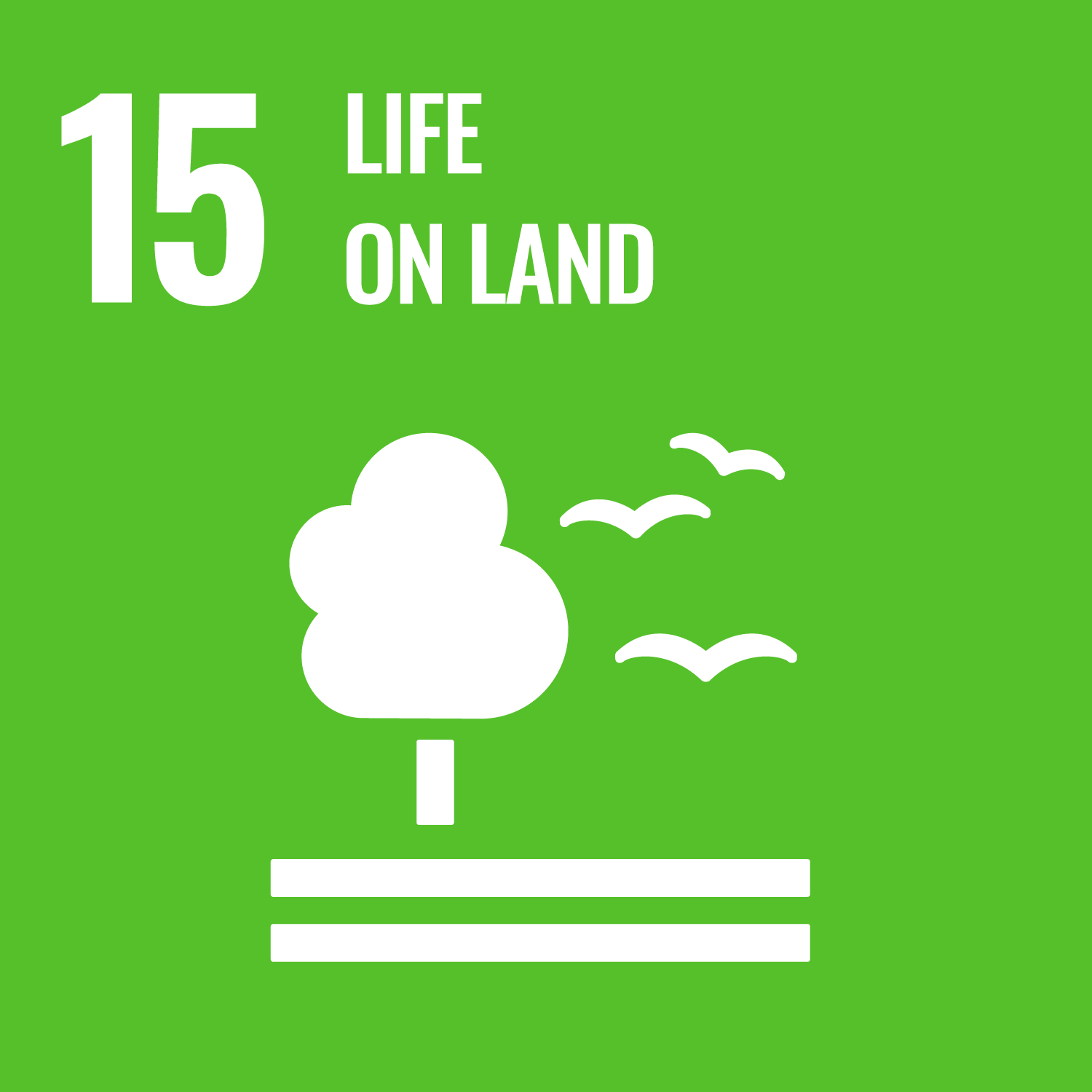 SDG Image 8