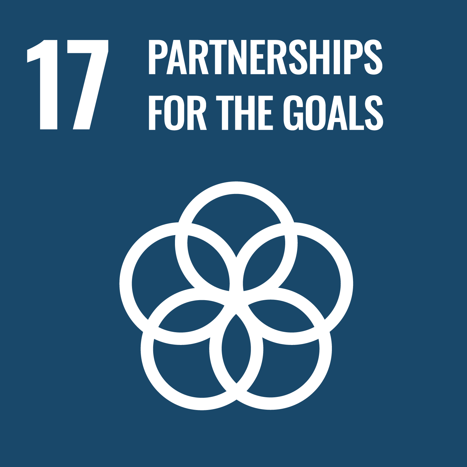 SDG Image 9